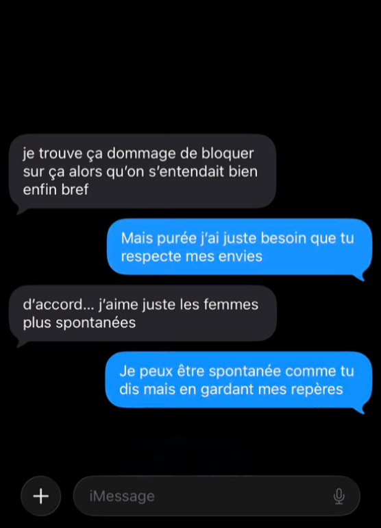 Exemple de conversation analysée par Verdikt